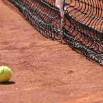 Del Potro y Djokovic se enfrentarán en un partido de despedida en Argentina